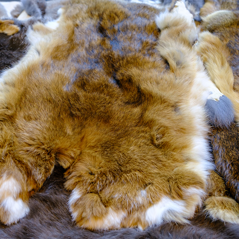 Rabbit Skins